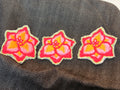 Mini Gladiolus Patch