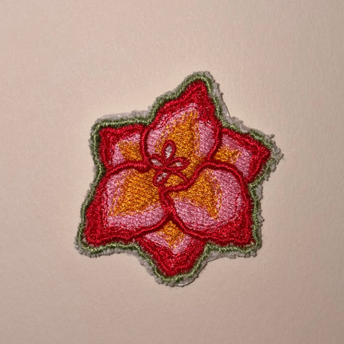 Mini Gladiolus Patch