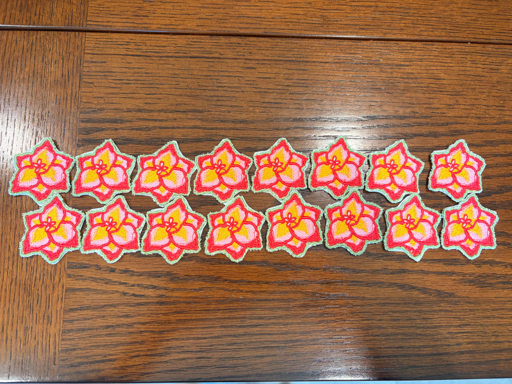 Mini Gladiolus Patch